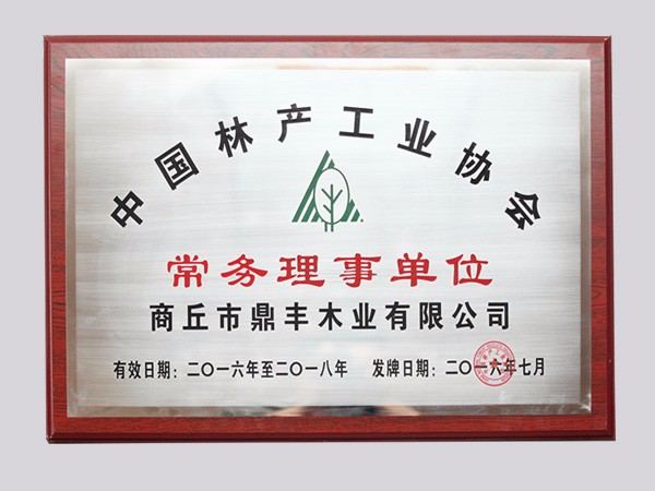 企業(yè)榮譽(yù)
